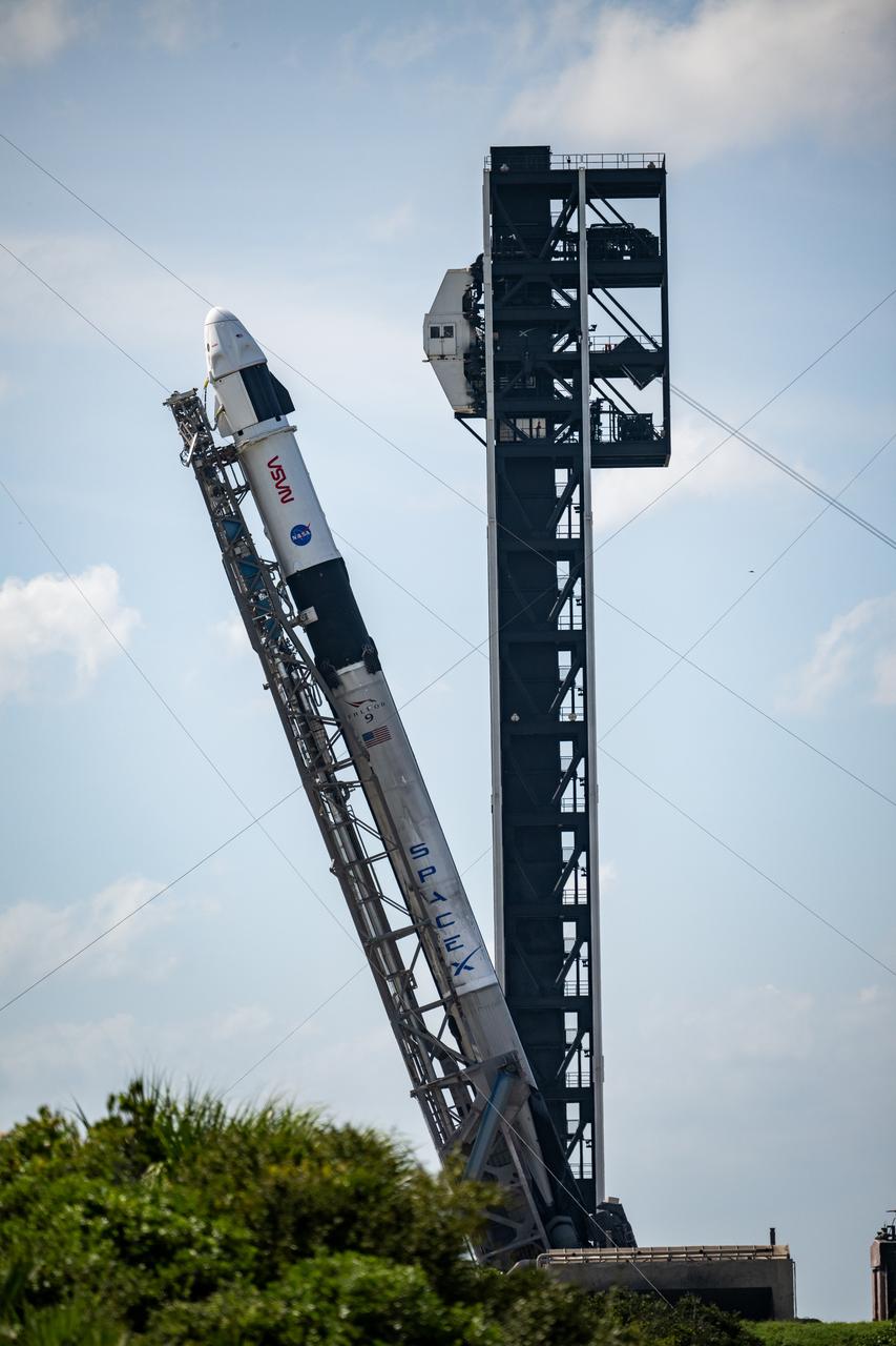 SpaceX Starlink: Inside the World's Largest LEO Constellation